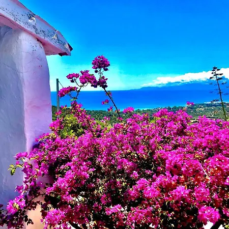 Paradiso 1 Tatil Evi